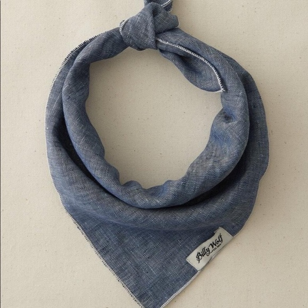 Anthropologie-BILLY WOLF -Boyd Linen Dog Bandana-Large